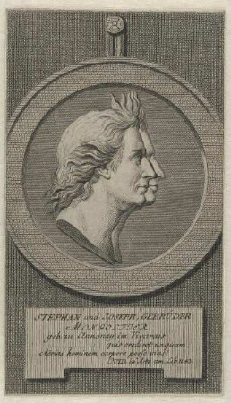 Bildnisse des Stephan und Joseph, Gebrüder Montgolfier