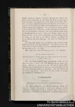 3) Knollengewächse.