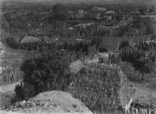 Dorf bei Mitla : Dorf in der Nähe von Mitla in Mexiko. Die Wege sind von Kakteenpalisaden gesäumt.