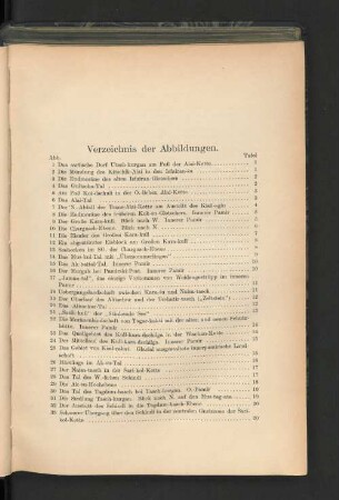 Verzeichnis der Abbildungen.