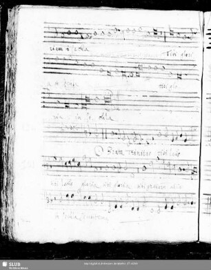 101 Iacobus Gallus: O beata trinitas tibi laus tibi gloria tibi gratiarum
