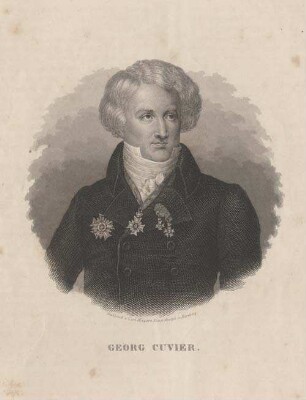 Georg Cuvier