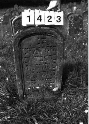Grabstein 1423 (Index: 100098097) Maße HxBxT: 84x46x12 cm Besonderheit: Kindergrab: Grabstein 1423