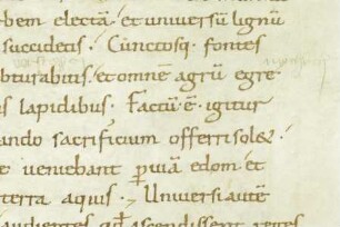 Bernward-Bibel — Schriftseite mit Anmerkungen