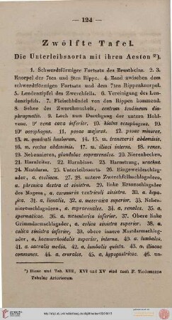 Zwölfte Tafel [Unterleibsaorta]