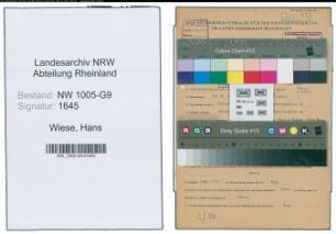 Entnazifizierung Hans Wiese , geb. 30.08.1899 (Unternehmer)