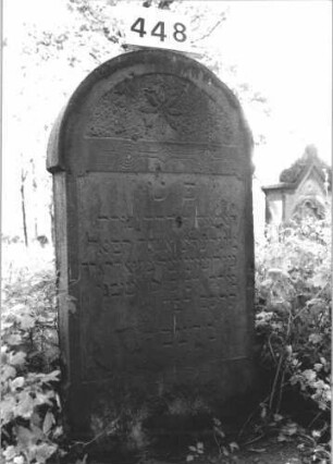 Grabstein 448