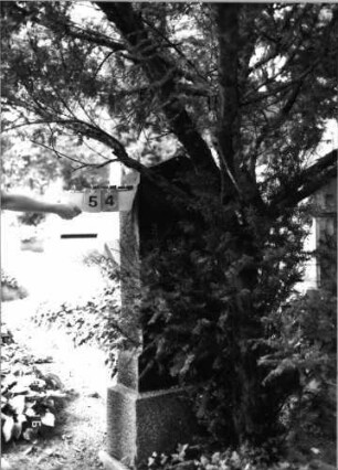 Grabstein 54 (Index: 99618162) Maße HxBxT: 150x52x24 cm: Grabstein 54