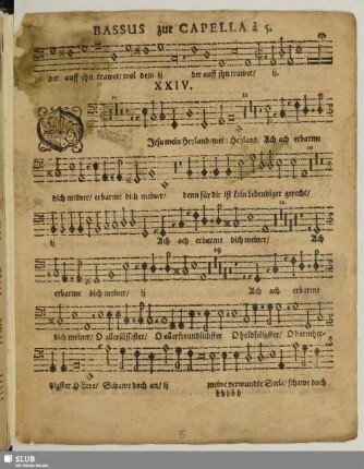 XXIV. O Jesu mein Heiland
