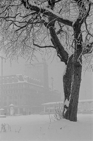 Blick auf das Franz-Mehring-Haus sowie das Krochhochhaus, im Vordergrund ein verschneiter Baum