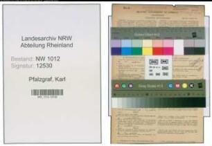 Entnazifizierung Karl Pfalzgraf , geb. 19.07.1908 (Bauingenieur)