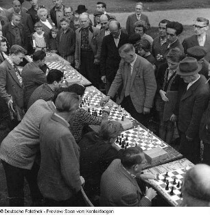 Sport: Schach