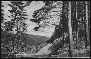 Kipsdorf. Promenade