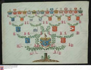 Ahnenprobe des Hieronymus Maximilian v. Günderode, Pergament