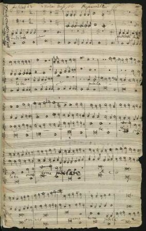 Jubilate omnis terra Deo; B, vl (2), bc
