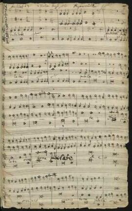 Jubilate omnis terra Deo; B, vl (2), bc