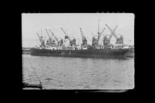 Bahia Blanca ex Celtic Prince (1918), Frachtschiff, HSDG, Hamburg, Bau-Nr. 396
