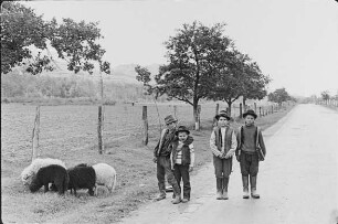 Rumänien. Maramures. Vier Jungen an einer Straße