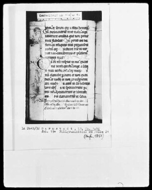 Psalterium — Initiale O, Folio 19 verso