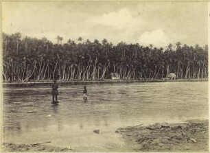 Lagune (Hamburger Südsee-Expedition 1908-1910)