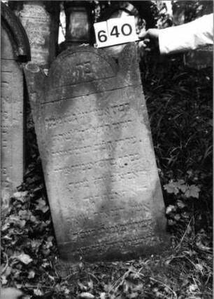 Grabstein 640 (Index: 99802943) Material: Sandstein Zustand: leicht verwittert/Textverlust Maße HxBxT: 98x50x10 cm Beschreibung: Stele mit eingezogenem Rundbogen und Seitenakroterien Besonderheit: Endreim: Grabstein 640
