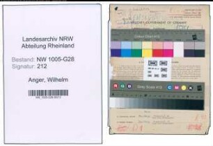Entnazifizierung Wilhelm Anger , geb. 01.03.1896 (Postinspektor)