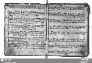 Loth, Urban: Tres sunt qui testimonium dant in caelo