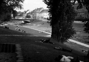 Freiburg: Dreisamwiese vom Spielplatz Schreiberstraße