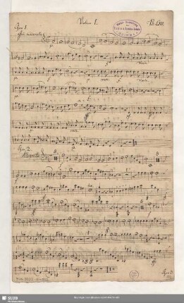 Violine 1