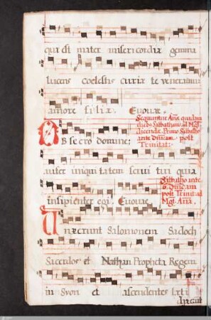 Magnificat-Antiphonen
