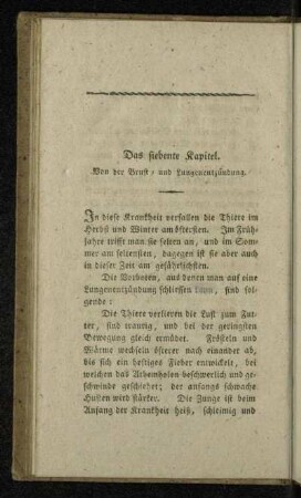 Das siebente Kapitel. Von der Brust- und Lungenentzündung.