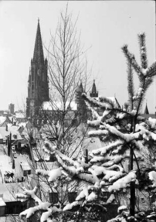 Freiburg: Blick vom Schlossberg auf verschneite Sträucher und Münster