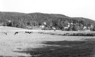 Oybin-Lückendorf. Blick von der Windrispel auf den oberen Teil Lückendorfs