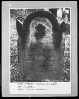 Grabstein von Pesle, Ehefrau des David Lohnstein (gestorben 1814.02.18)