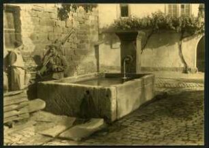 (Maikammer), Laufbrunnen