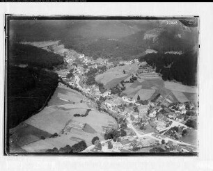 Wildemann (Harz b. Clausthal)