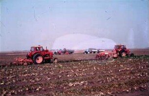 Fotografie: Erntetechnik, Zuckerrübe, Zweiphasiges Ernteverfahren