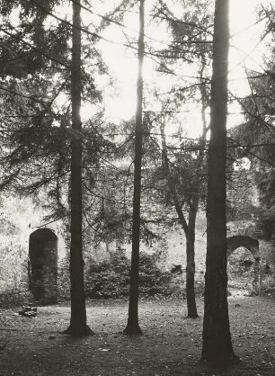 Ruine Bergstein