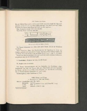 VIII. Fauna und Flora.