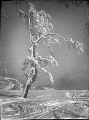 Am Schauinsland