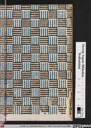 Neues Braunschweigisches Gesangbuch
