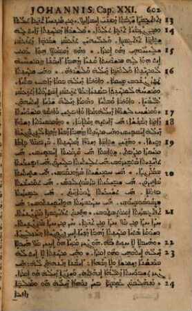 Novum Domini Nostri Jesu Christi Testamentum Syriace : Cum punctis vocalibus, & Versione Latina Matthaei ita adornata, ut unico hoc Evangelista intellecto, reliqui totius Operis libri sine interprete intelligi possint ; In gratiam Studiosae Juventutis ... editum