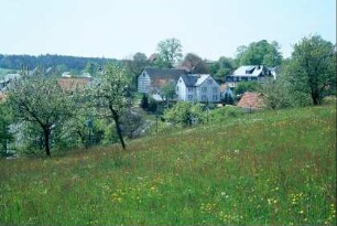 Blick über eine Wiese zum Dorf