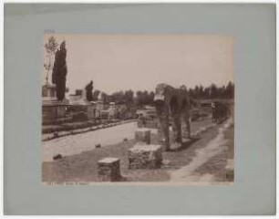 Pompei: Strada dei Sepolcri, No. 5067