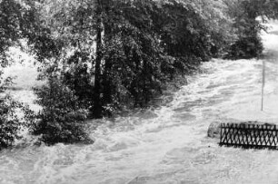 Wilsdruff-Grund. Triebischhochwasser