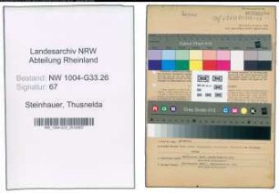 Entnazifizierung Thusnelda Steinhauer , geb. 25.06.1899 (Lehrerin)