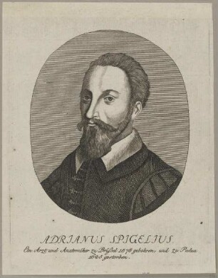 Bildnis des Adrianus Spigelius