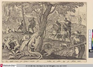 [Wildkatzenjagd; Wildcat hunt]