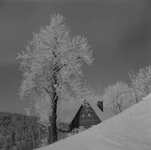 Rehefeld-Zaunhaus. Blick auf ein Haus im Winter