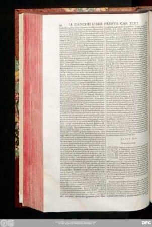 Caput XIV. De nomine [...].